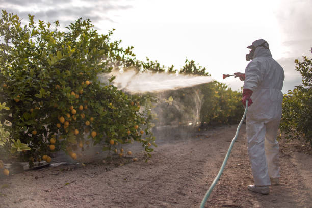Best Wasp Removal Services  in Bristol, WI