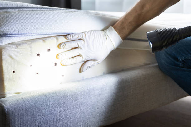 Best Affordable Pest Control Services  in Bristol, WI