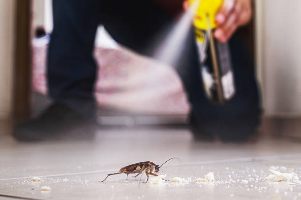Trusted Bristol, WI Pest Control Experts