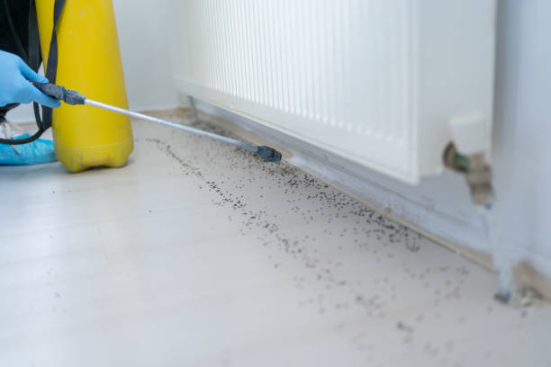  Bristol, WI Pest Control Pros